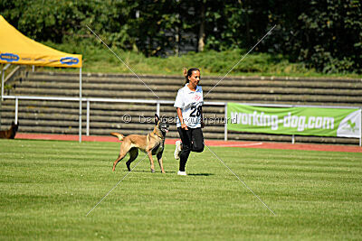 Stylish Motion`s Apple